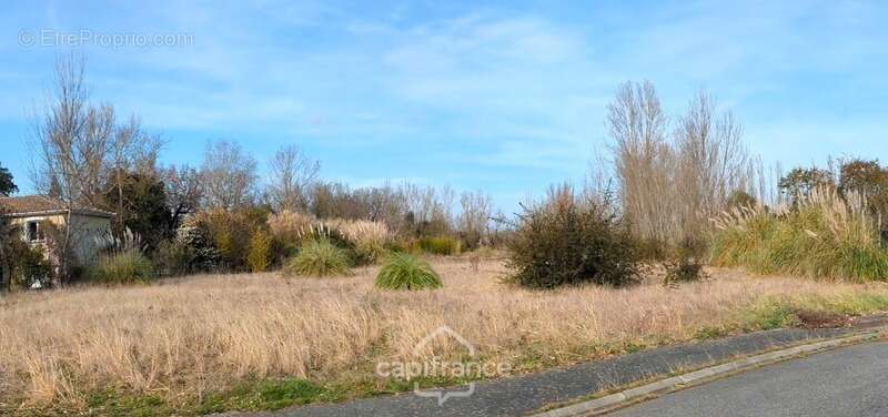 Terrain 6000m² ROQUES (31) - photo 2