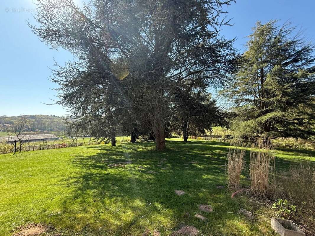 Maison à BREUX-JOUY