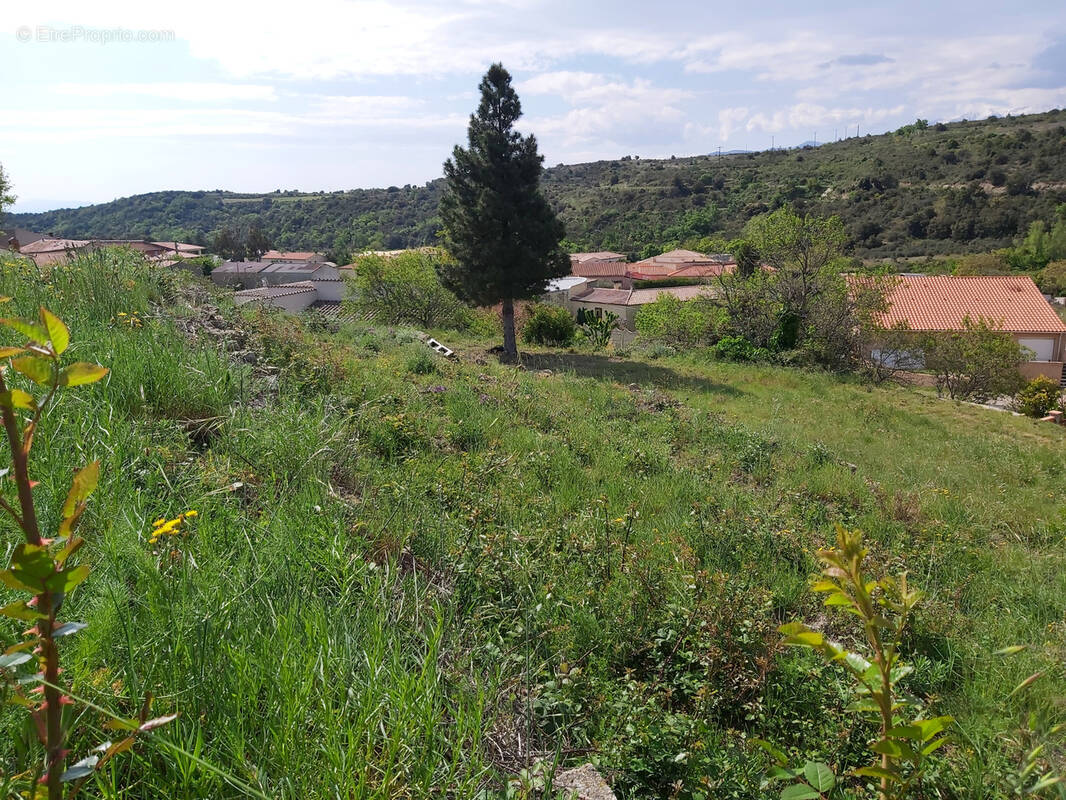 Terrain à TREVILLACH