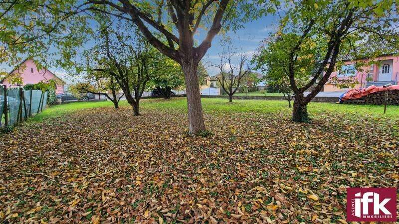 Terrain à WICKERSCHWIHR