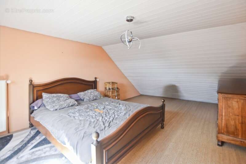 Maison à SAINT-JEAN-DE-TREZY