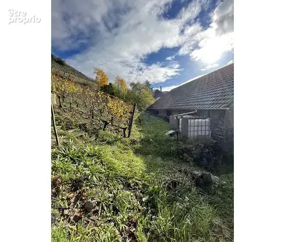 Special investisseur ! - photo 2
