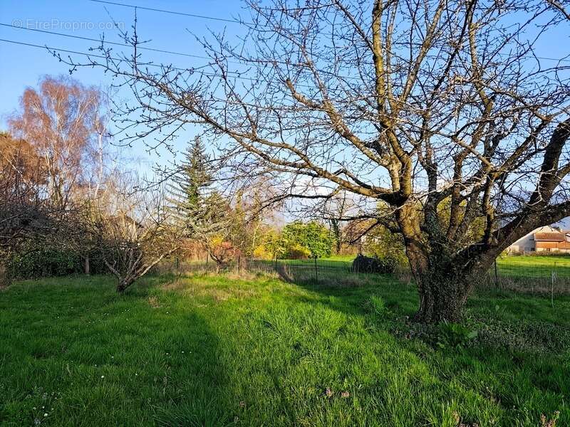 Terrain à VEIGY-FONCENEX