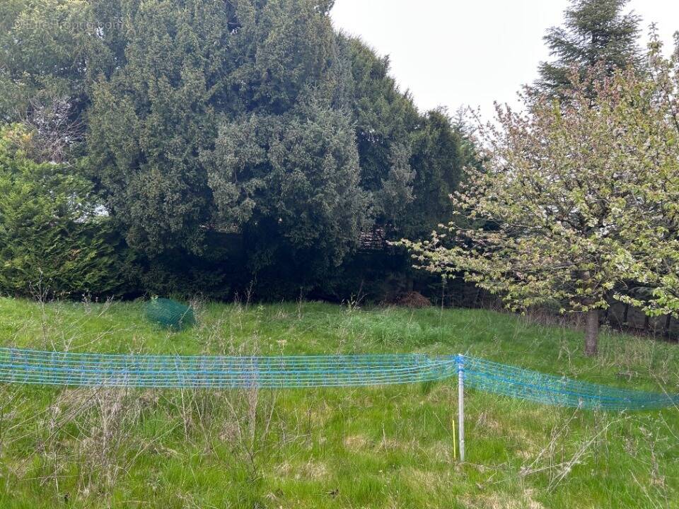 Terrain à LIEUSAINT