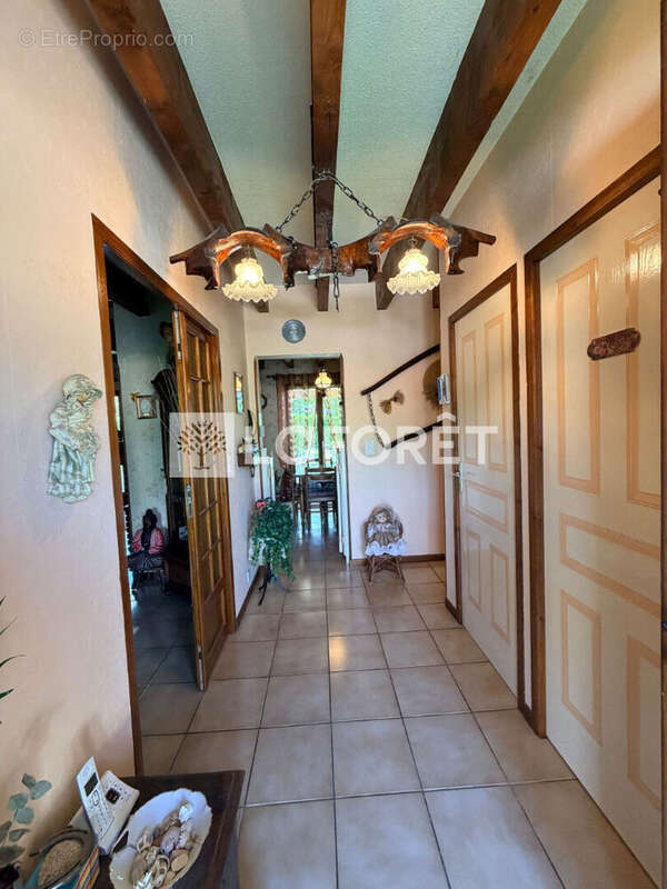 Maison à SALIES