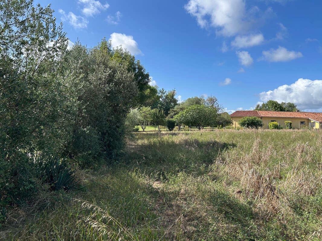 Terrain à MONTAUT-LES-CRENEAUX