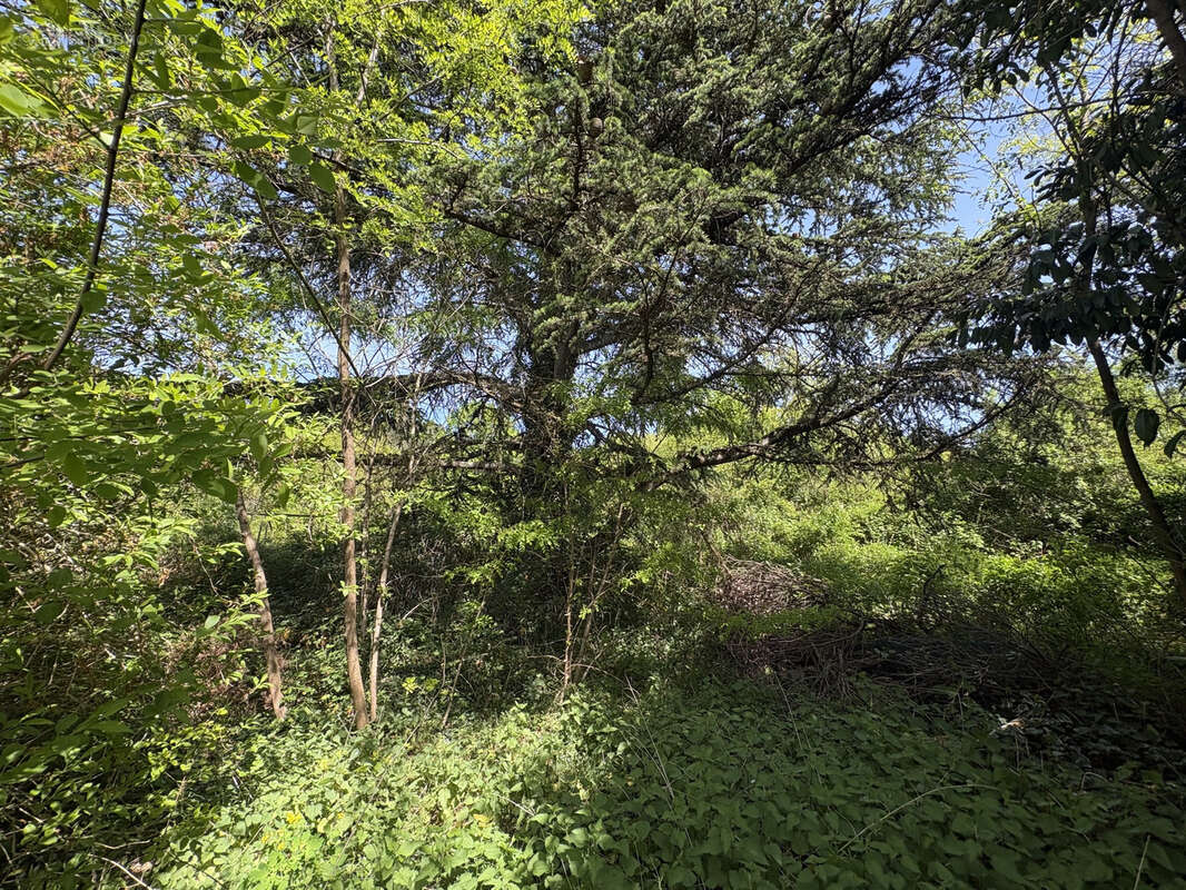 Terrain à PERTHES