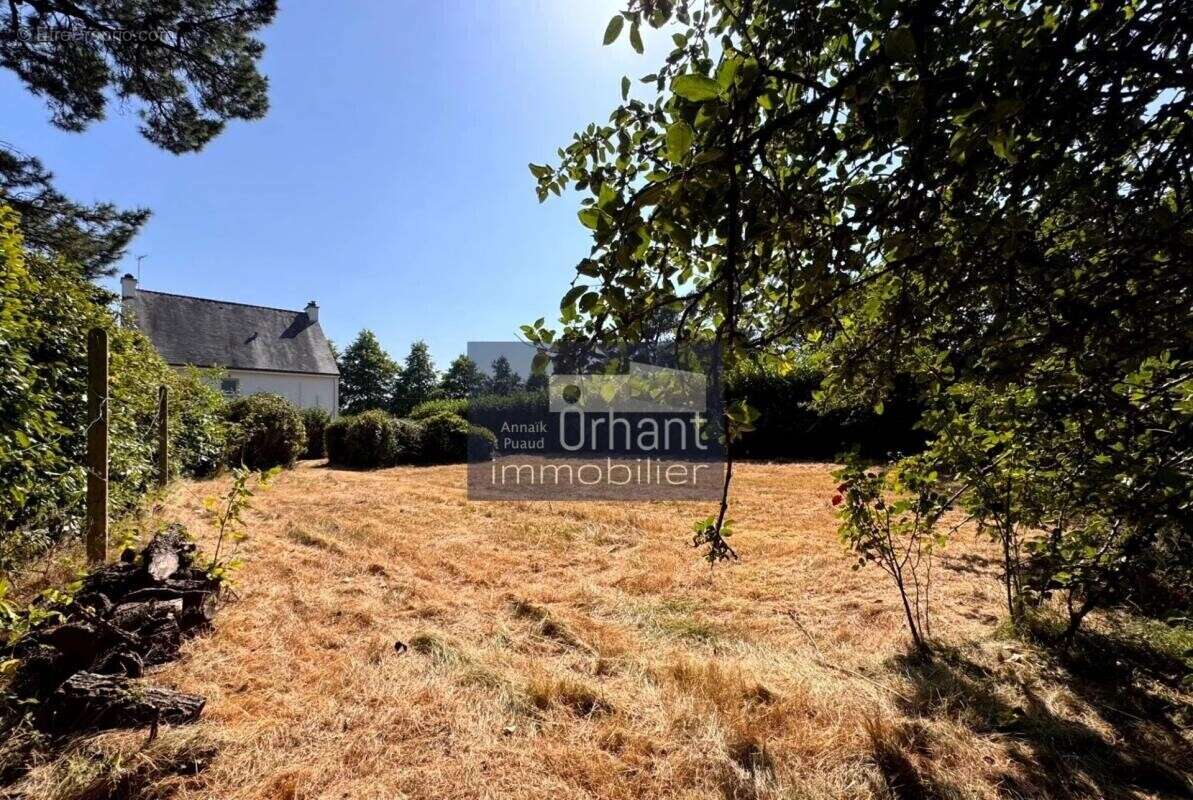 Grand terrain constructible libre de constructeur  1150m² – - photo 4