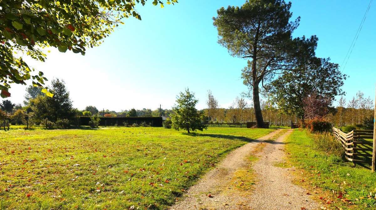 Maison à CASTELJALOUX