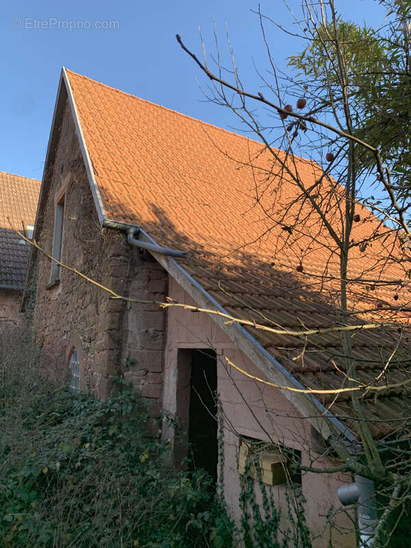 Maison à SAINT-JEAN-SAVERNE