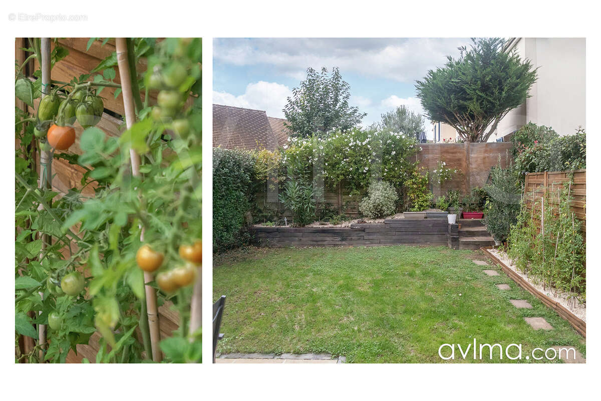 Maison à NOISY-LE-ROI