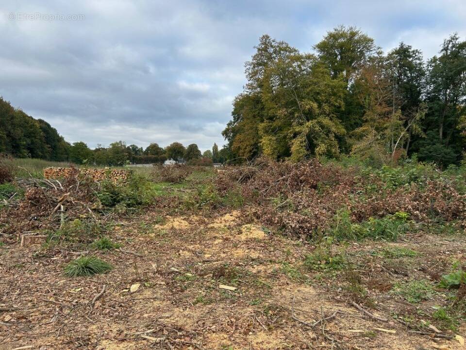 Terrain à COUTEVROULT
