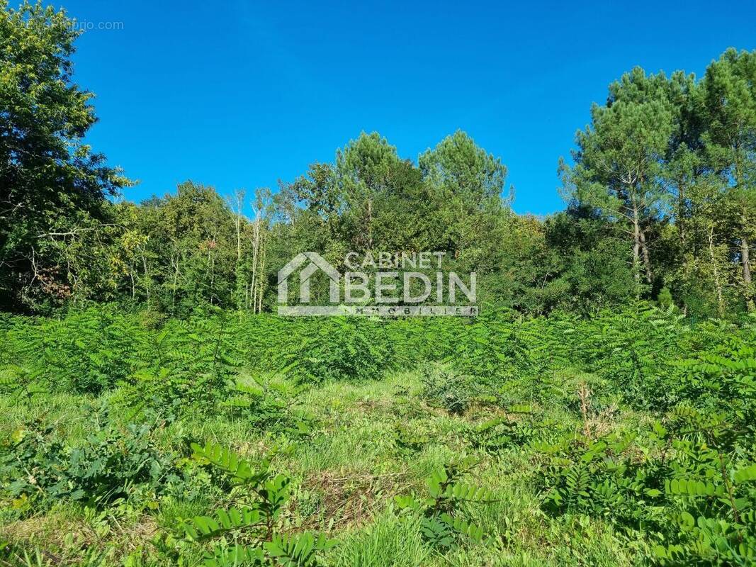 Terrain à SAINT-AUBIN-DE-MEDOC