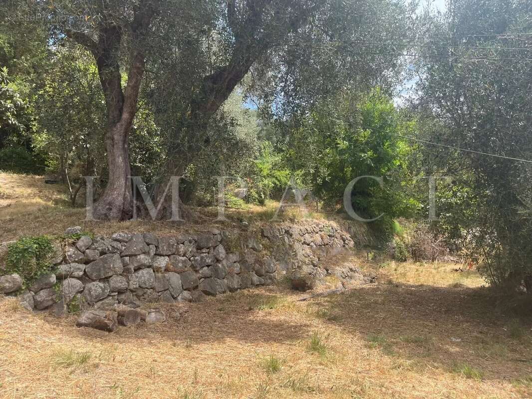 Terrain à CHATEAUNEUF-GRASSE