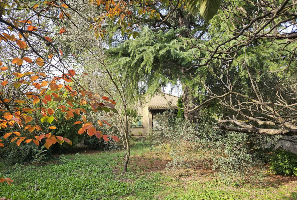 Maison à SAINT-REMY-DE-PROVENCE
