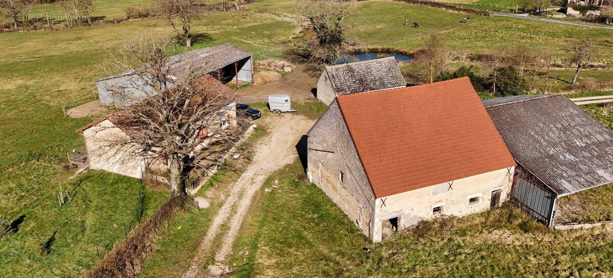 Exploitation céréalière de 170ha dans l'Allier (03) - photo 11