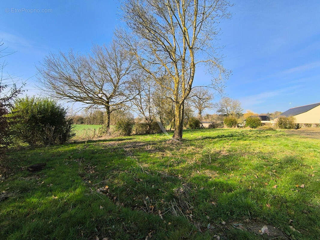 Terrain à THORIGNE-D&#039;ANJOU
