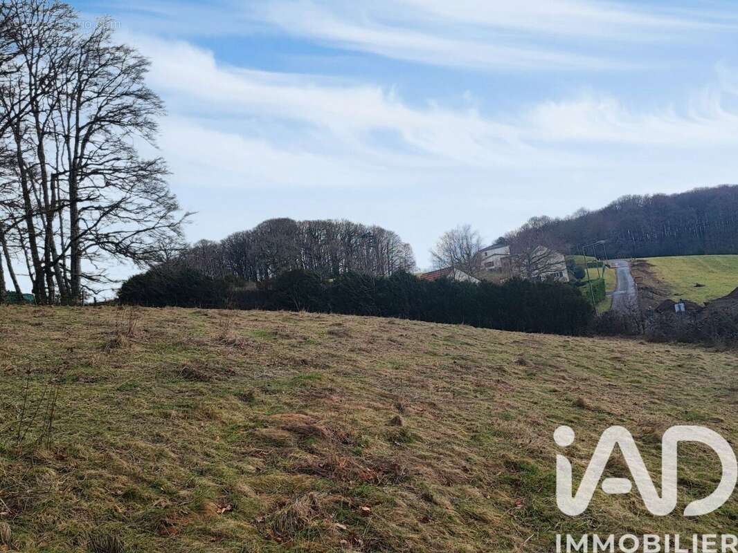 Photo 3 - Terrain à LAFEUILLADE-EN-VEZIE