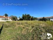 Terrain à SAINTE-PAZANNE