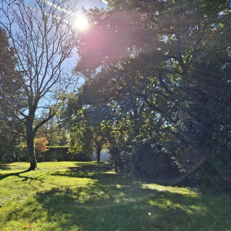 Maison 197 m² à Chasseneuil-Sur-Bonnieure  - photo 3
