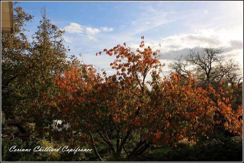 Maison à MARS-LA-TOUR
