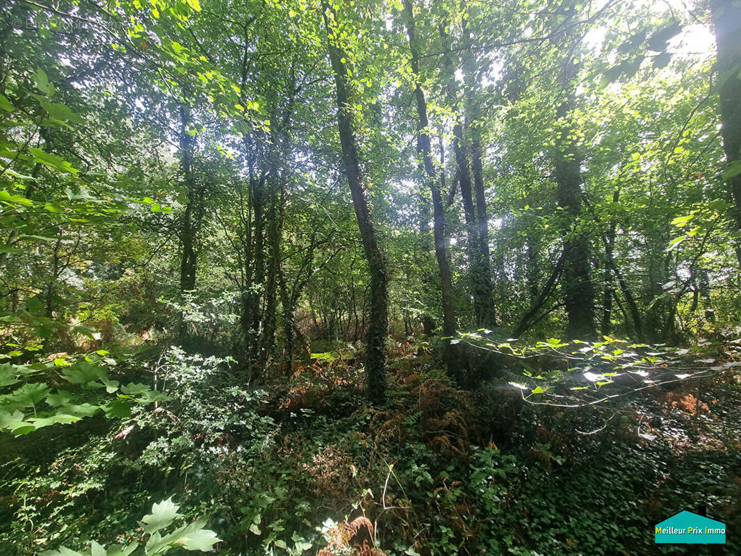 Terrain à LA GARNACHE