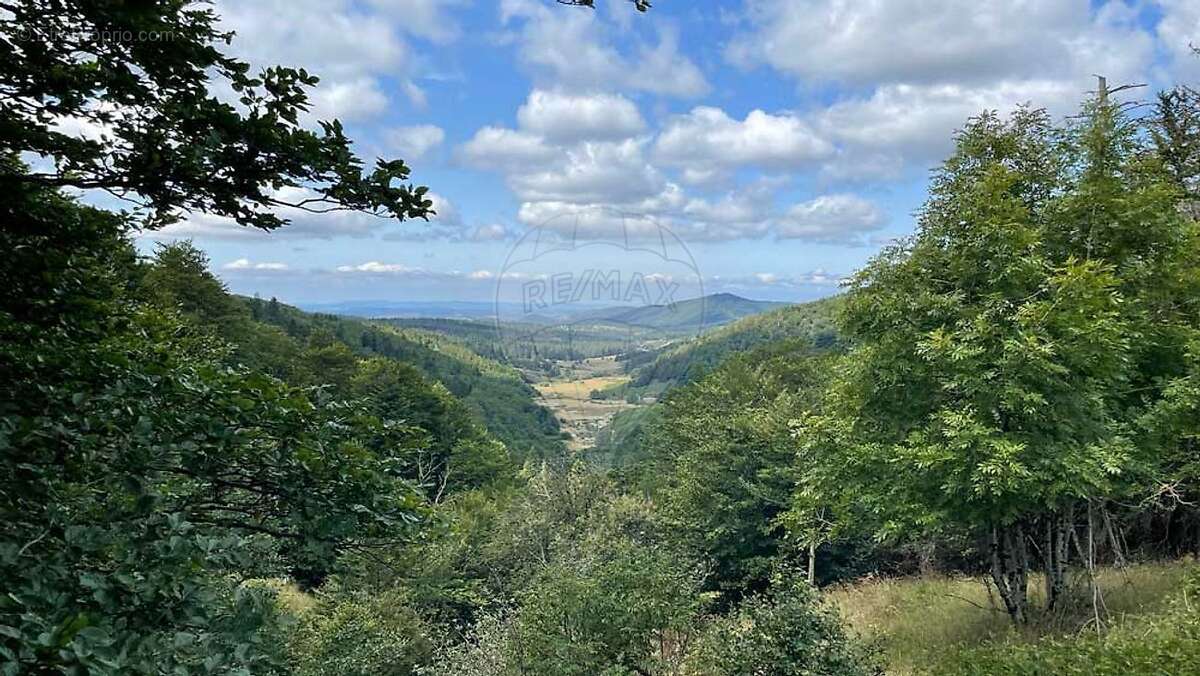 Terrain à SAINT-SAUVEUR-CAMPRIEU