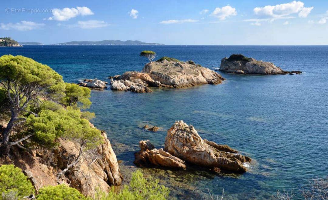 Appartement à BORMES-LES-MIMOSAS