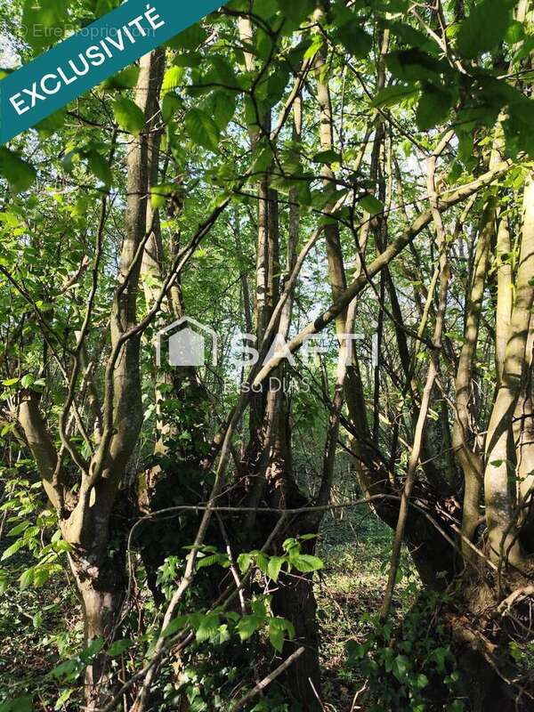 Photo 2 - Terrain à CHATEAU-THIERRY