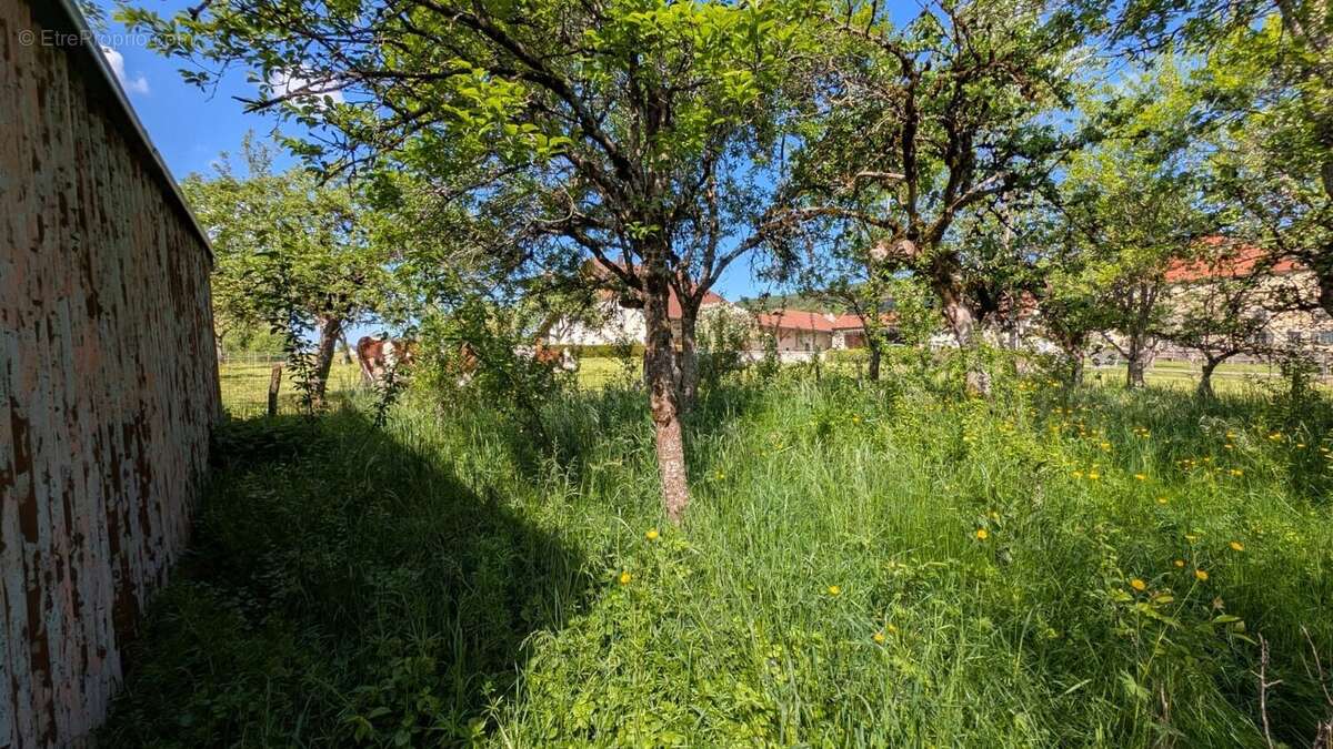 Maison à EVILLERS