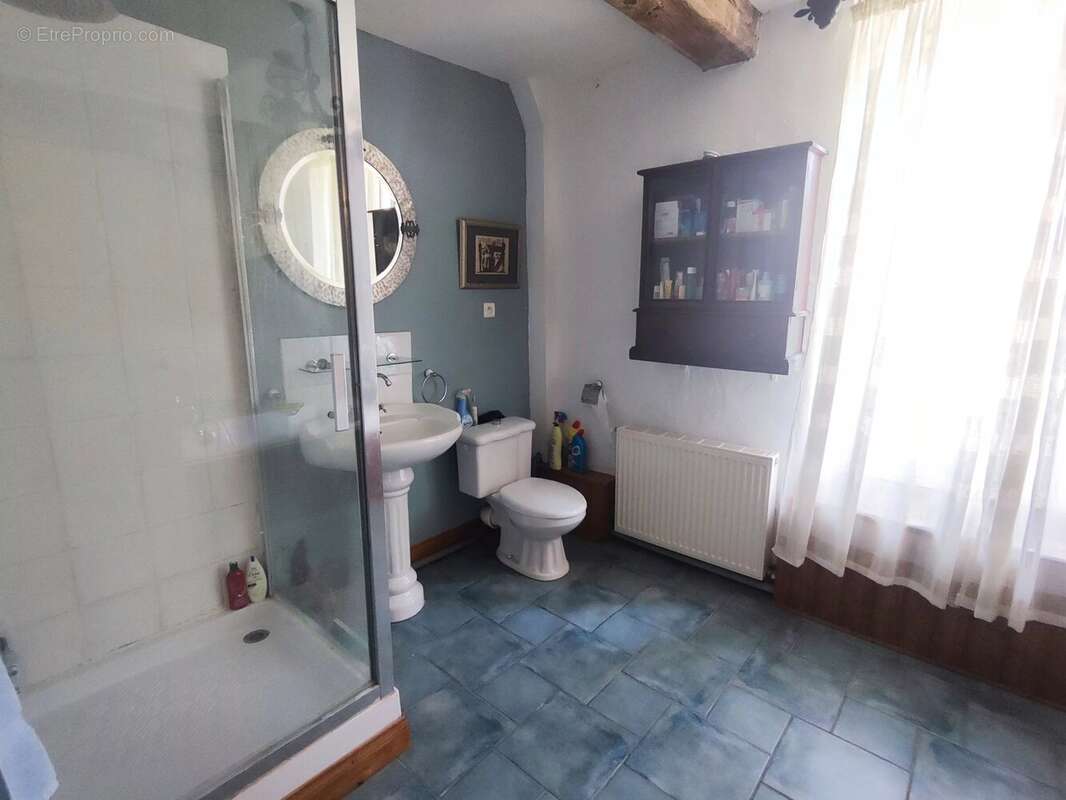 Ferme béarnaise rénovée avec gîte, piscine et vue sur les Pyrenénées - photo 6