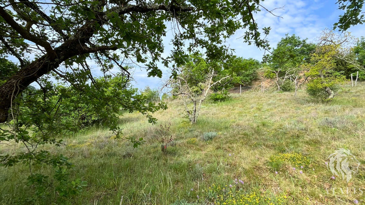 Terrain à PARNANS