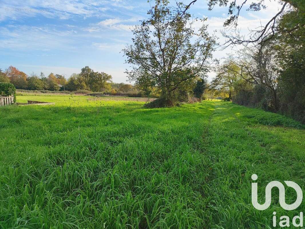 Photo 6 - Maison à CHIRAC