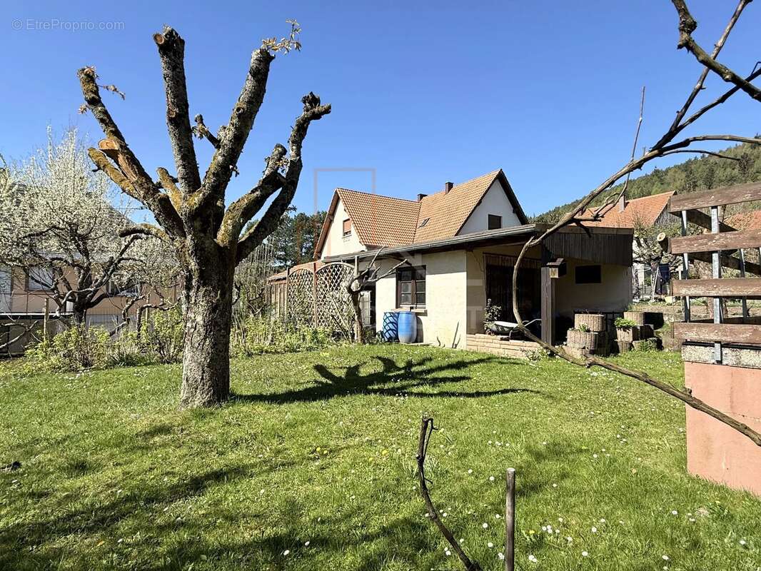 Maison à NIEDERBRONN-LES-BAINS