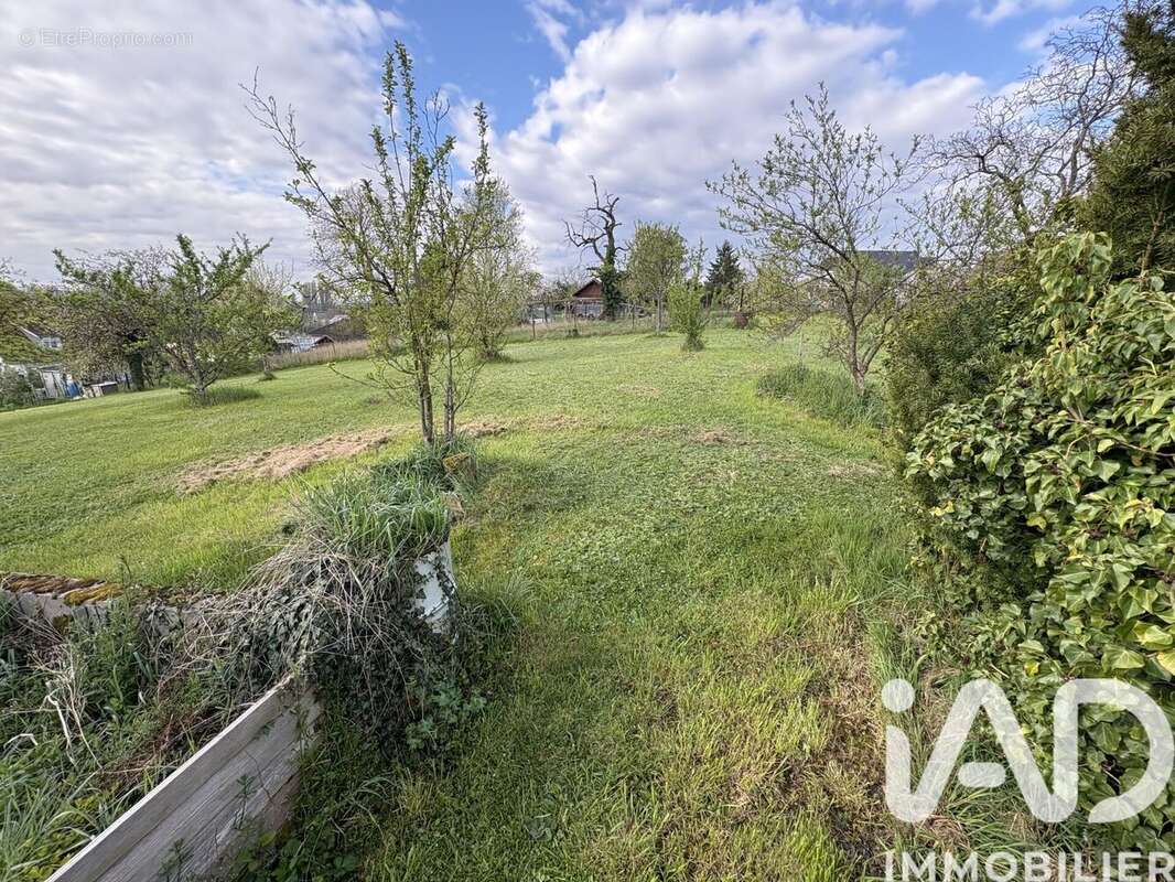 Photo 4 - Terrain à SAVERNE