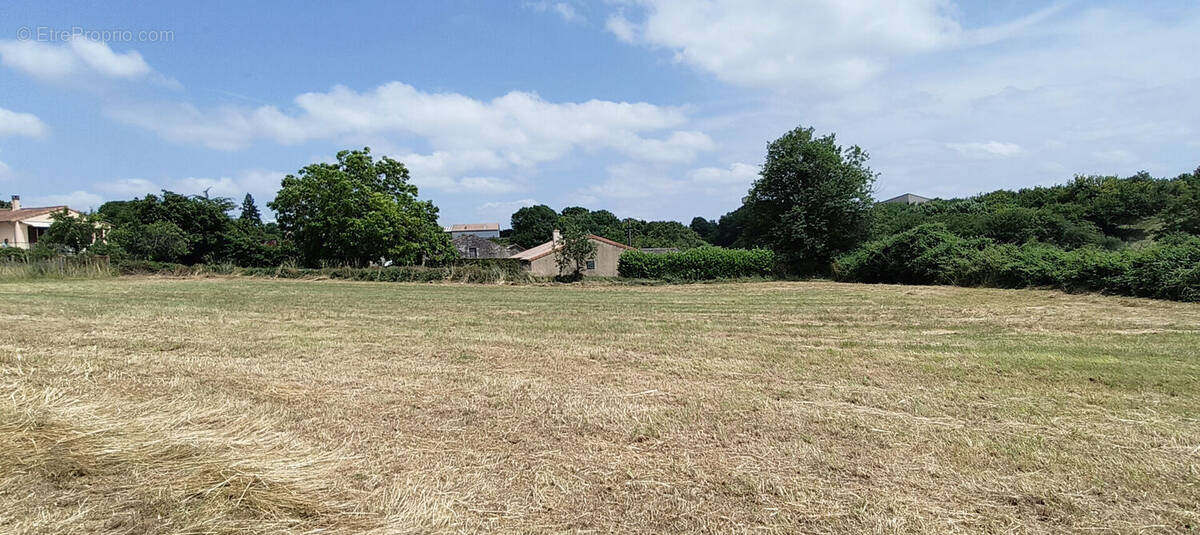 Terrain à PAMPROUX
