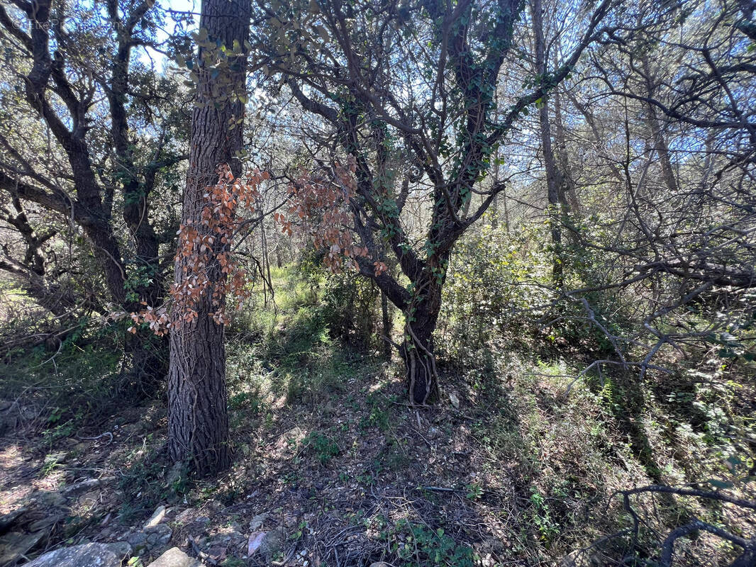 Terrain à LA LIVINIERE