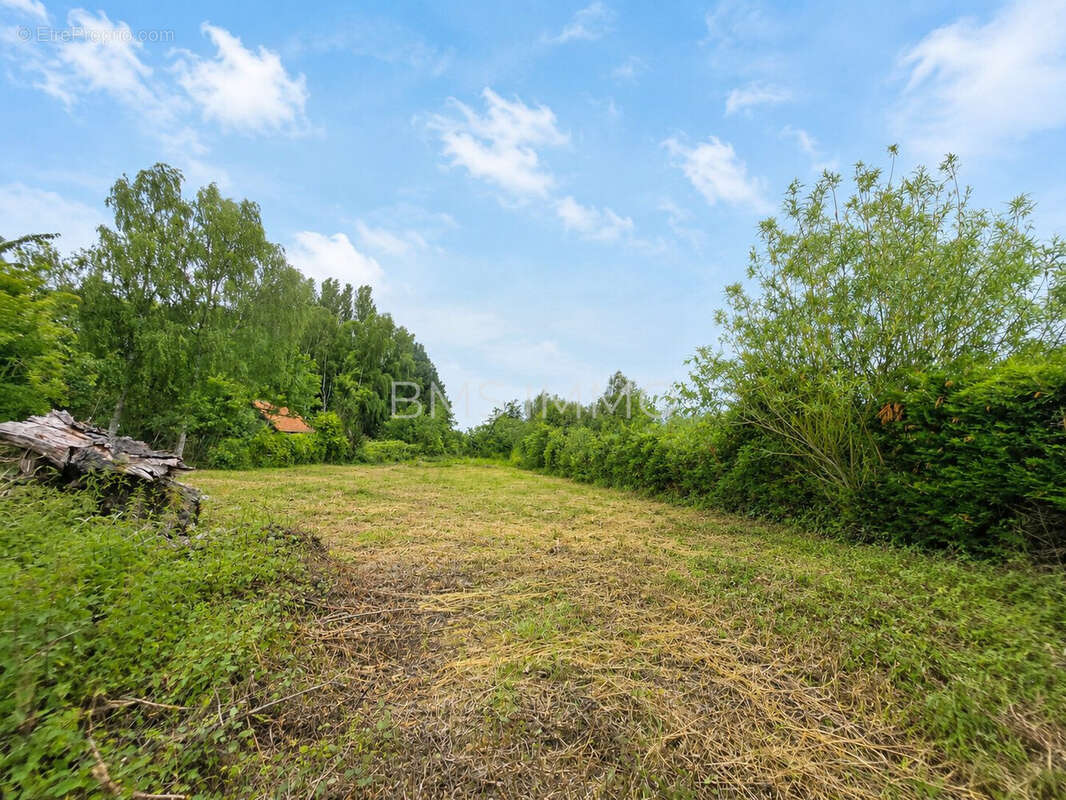 Terrain 1414 m² à Moncheaux  - photo 2
