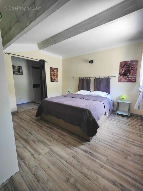 Maison à vendre 13 pièces MONS (34) - photo 4