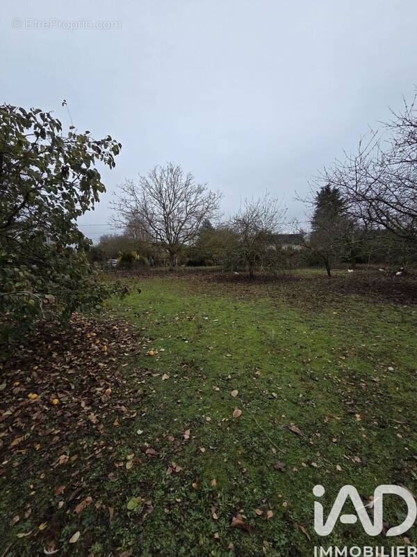 Photo 1 - Terrain à SAVIGNE-L'EVEQUE