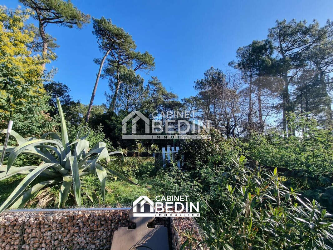 Maison 155 m² à Biscarrosse  - photo 5