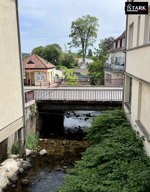 Appartement 293 m² à Giromagny  - photo 2