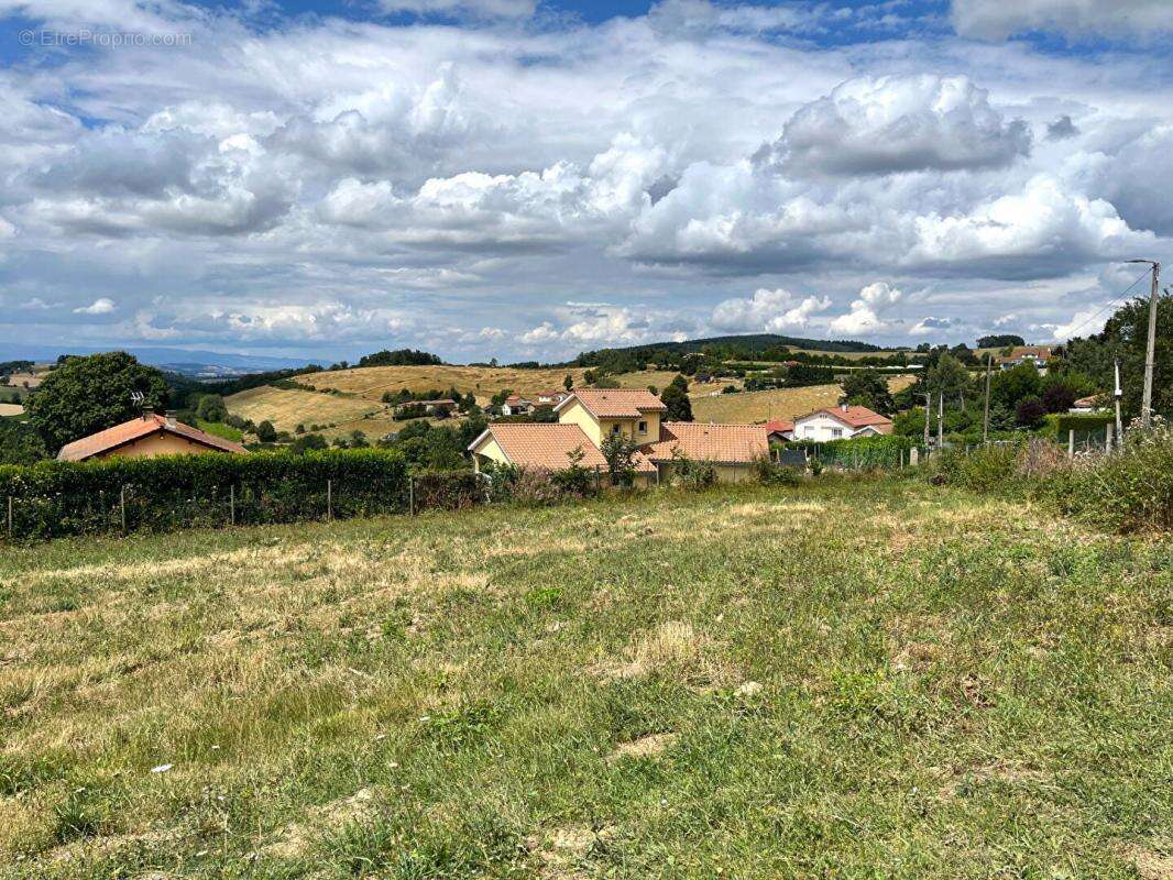 Terrain à VIOLAY