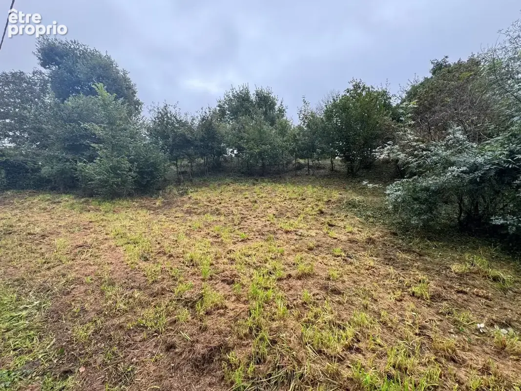 Photo Terrain à Savenay au prix de 69 200€
