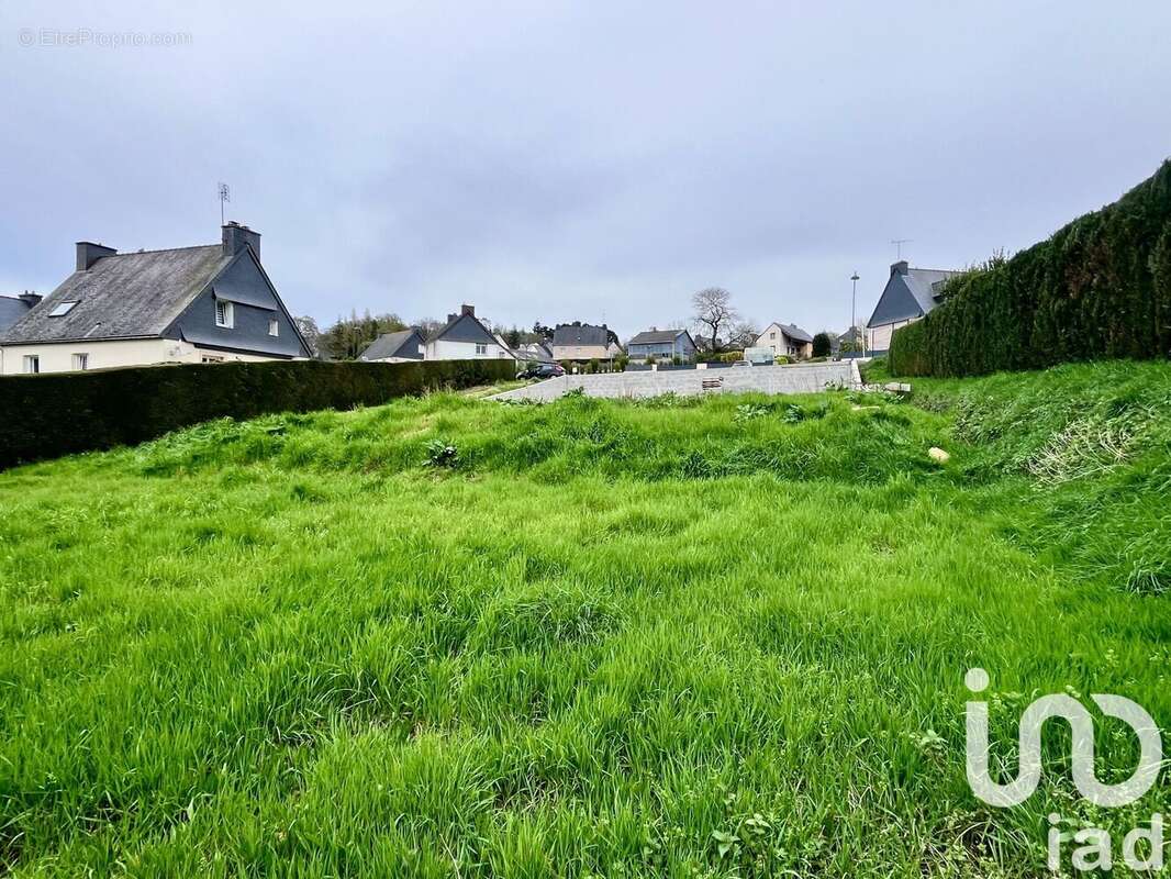 Photo 4 - Terrain à TREVE