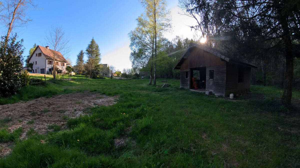 Maison Dole 5 pièce(s) 136 m2 / Terrain de 3394 m² - photo 6