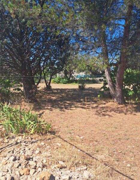 Photo 1 - Terrain à CABRIERES-D&#039;AVIGNON