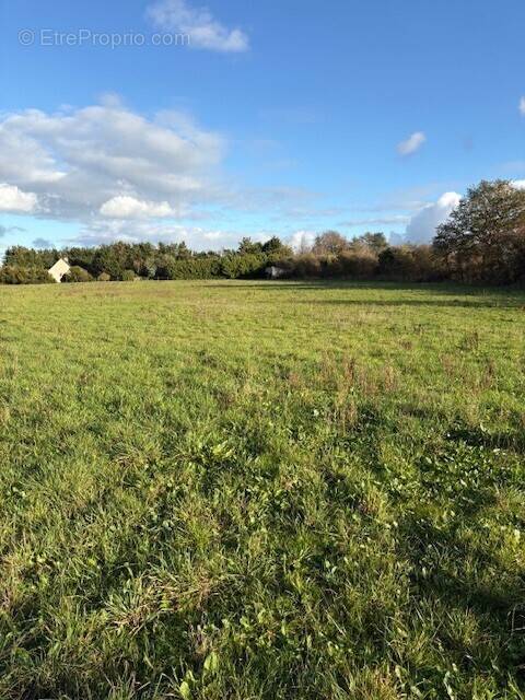 Terrain à LOIRE