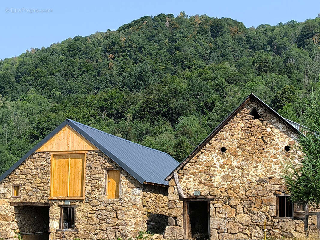 Corps de ferme de montagne  , superbement rénové  , dépendances  3.2 HA - photo 4
