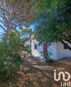 Photo 7 - Appartement à LES ISSAMBRES